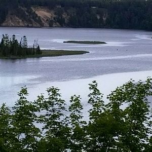 Meet your Posher, Dee